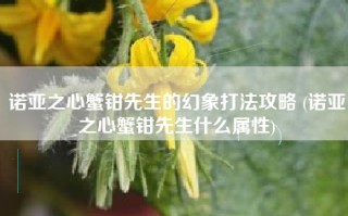 诺亚之心蟹钳先生的幻象打法攻略 (诺亚之心蟹钳先生什么属性)