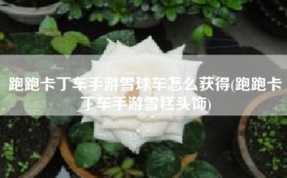 跑跑卡丁车手游雪球车怎么获得(跑跑卡丁车手游雪糕头饰)