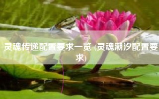 灵魂传递配置要求一览 (灵魂潮汐配置要求)