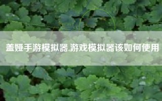 盖娅手游模拟器,游戏模拟器该如何使用