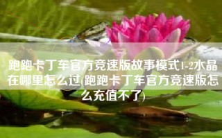 跑跑卡丁车官方竞速版故事模式1-2水晶在哪里怎么过(跑跑卡丁车官方竞速版怎么充值不了)