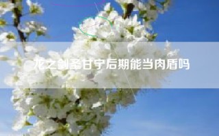 龙之剑圣甘宁后期能当肉盾吗