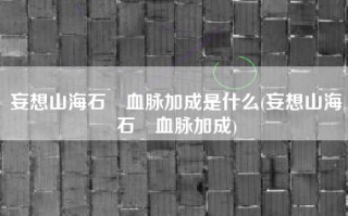 妄想山海石烜血脉加成是什么(妄想山海石烜血脉加成)