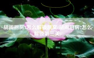 胡闹厨房2怎么解锁凯文(胡闹厨房2怎么解锁第三关)