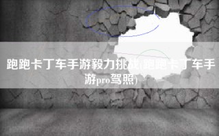 跑跑卡丁车手游毅力挑战(跑跑卡丁车手游pro驾照)