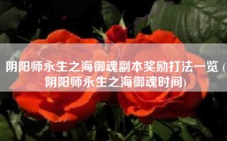 阴阳师永生之海御魂副本奖励打法一览 (阴阳师永生之海御魂时间)