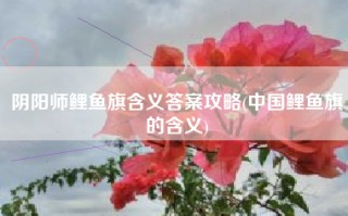 阴阳师鲤鱼旗含义答案攻略(中国鲤鱼旗的含义)