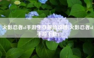 火影忍者ol手游生存探险攻略(火影忍者ol手游下载)