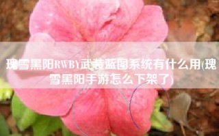 瑰雪黑阳RWBY武装蓝图系统有什么用(瑰雪黑阳手游怎么下架了)