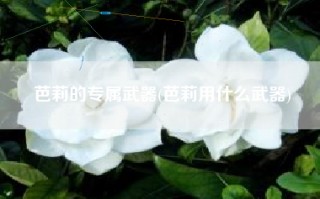 芭莉的专属武器(芭莉用什么武器)