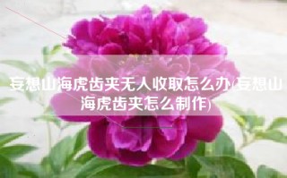 妄想山海虎齿夹无人收取怎么办(妄想山海虎齿夹怎么制作)