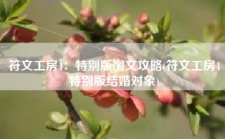 符文工房4：特别版图文攻略(符文工房4特别版结婚对象)