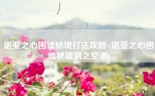 诺亚之心困难秘境打法攻略 (诺亚之心困难秘境钢之空港)