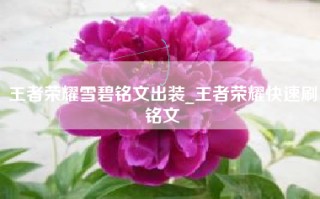 王者荣耀雪碧铭文出装_王者荣耀快速刷铭文