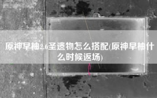 原神早柚2.6圣遗物怎么搭配(原神早柚什么时候返场)