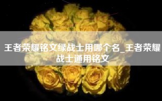 王者荣耀铭文绿战士用哪个名_王者荣耀战士通用铭文