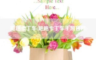 跑跑卡丁车(跑跑卡丁车手游官网)