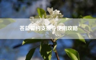 苍蓝誓约支援令使用攻略