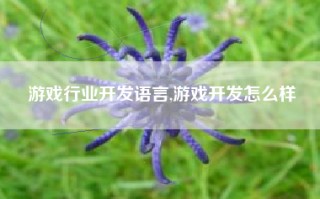 游戏行业开发语言,游戏开发怎么样