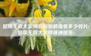 超级无敌大宗师穷凶极鹤需要多少碎片(超级无敌大宗师神通图鉴)