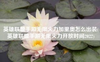 英雄联盟手游无限火力加里奥怎么出装(英雄联盟手游无限火力开放时间2022)