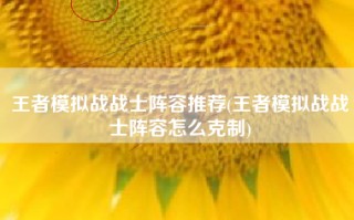 王者模拟战战士阵容推荐(王者模拟战战士阵容怎么克制)