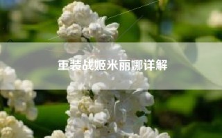 重装战姬米丽娜详解