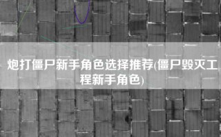 炮打僵尸新手角色选择推荐(僵尸毁灭工程新手角色)