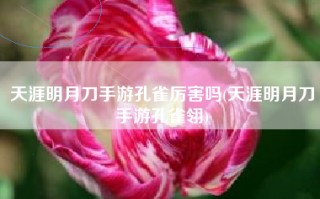 天涯明月刀手游孔雀厉害吗(天涯明月刀手游孔雀翎)