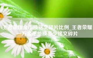 王者荣耀金币换铭文碎片比例_王者荣耀一万金币能换多少铭文碎片