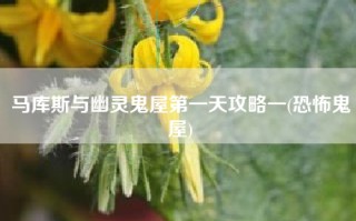 马库斯与幽灵鬼屋第一天攻略一(恐怖鬼屋)