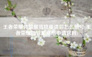 王者荣耀体验服资格申请后怎么抢号(王者荣耀体验服资格申请官网)