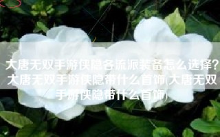 大唐无双手游侠隐各流派装备怎么选择？大唐无双手游侠隐带什么首饰(大唐无双手游侠隐带什么首饰)