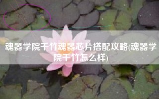 魂器学院千竹魂器芯片搭配攻略(魂器学院千竹怎么样)