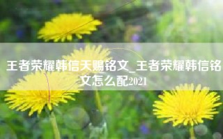 王者荣耀韩信天赐铭文_王者荣耀韩信铭文怎么配2021