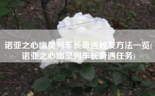 诺亚之心幽灵列车长奇遇触发方法一览(诺亚之心幽灵列车长奇遇任务)