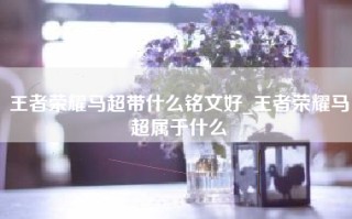 王者荣耀马超带什么铭文好_王者荣耀马超属于什么