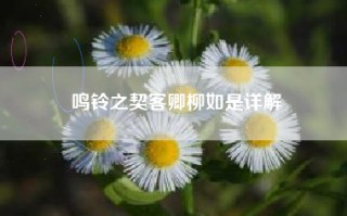 鸣铃之契客卿柳如是详解