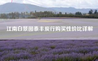 江南白景图泰丰炭行购买性价比详解