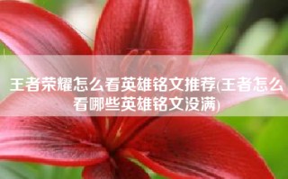 王者荣耀怎么看英雄铭文推荐(王者怎么看哪些英雄铭文没满)