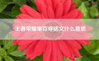 王者荣耀里百穿铭文什么意思