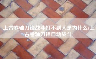 上古卷轴刀锋战斗打不到人是为什么(上古卷轴刀锋自动战斗)