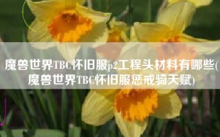魔兽世界TBC怀旧服p2工程头材料有哪些(魔兽世界TBC怀旧服惩戒骑天赋)