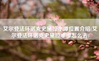 艾尔登法环诺克史黛拉水潭位置介绍(艾尔登法环诺克史黛拉水潭怎么去)