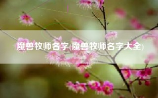 魔兽牧师名字(魔兽牧师名字大全)