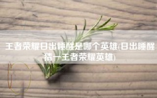 王者荣耀日出睡醒是哪个英雄(日出睡醒猜一王者荣耀英雄)