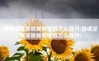 猎魂觉醒落银城希望值怎么提升(猎魂觉醒落银城希望值怎么提升)