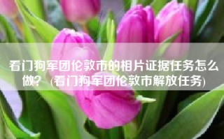看门狗军团伦敦市的相片证据任务怎么做？ (看门狗军团伦敦市解放任务)