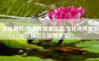 生化奇兵2中文在哪里设置(生化奇兵重制版怎么设置中文)
