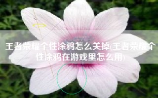 王者荣耀个性涂鸦怎么关掉(王者荣耀个性涂鸦在游戏里怎么用)